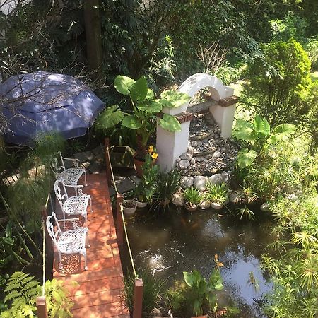 Villas Sol Y Luna Coyoacan Мехико Экстерьер фото